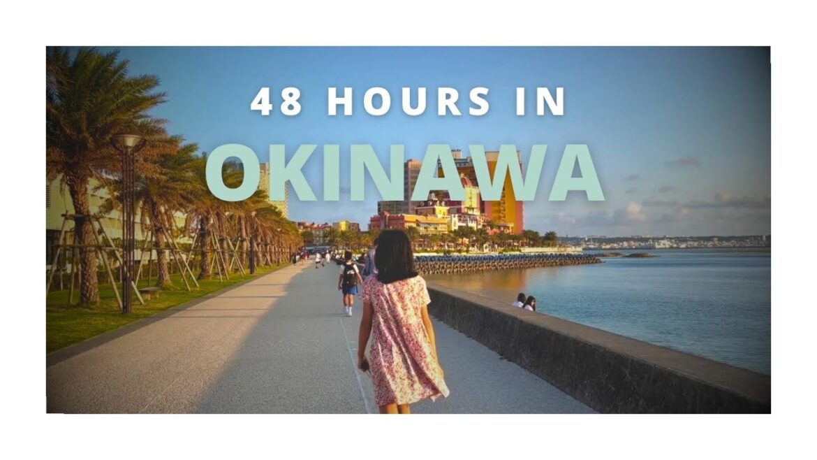 Okinawa trip 🇯🇵