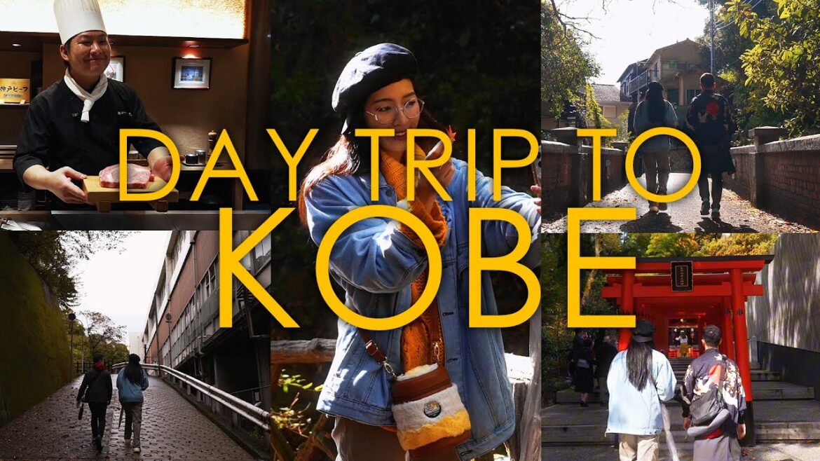 017 | Japan Vlog 🇯🇵 | Kobe | Day Trip | Kobe Beef | Wagyu | Cinematic Short | Sony ZV-E1