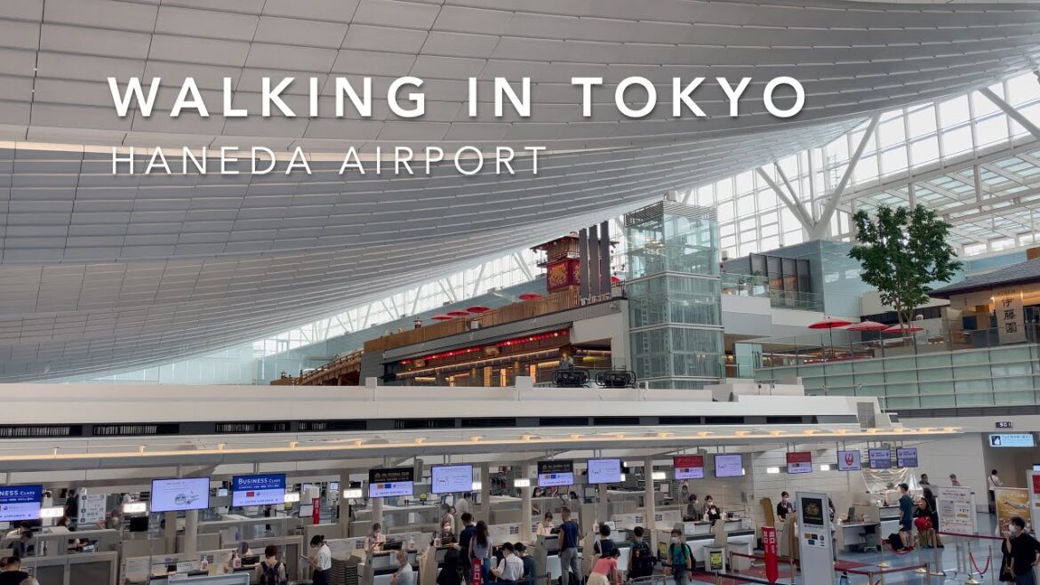 WALKING IN TOKYO/HANEDA AIRPORT