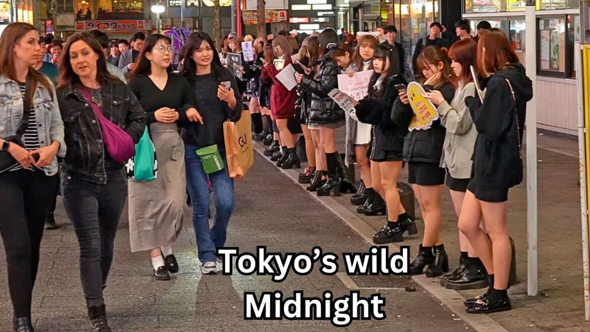 Wildness At Tokyo’s Risqué Late-night Adult District Wildness At Tokyo's Risqué Late-night Adult District