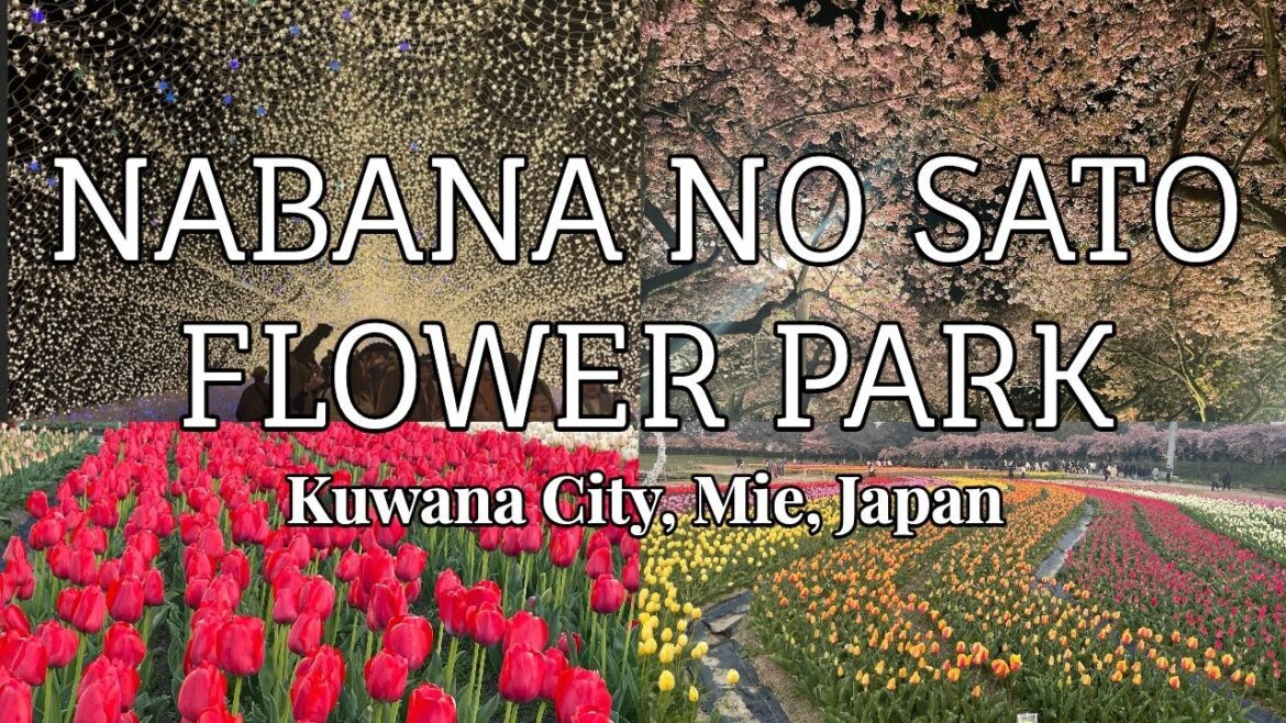 NABANA NO SATO FLOWER PARK #nabananosato #mie #kuwana #nagoya #TaraAnythingGoes