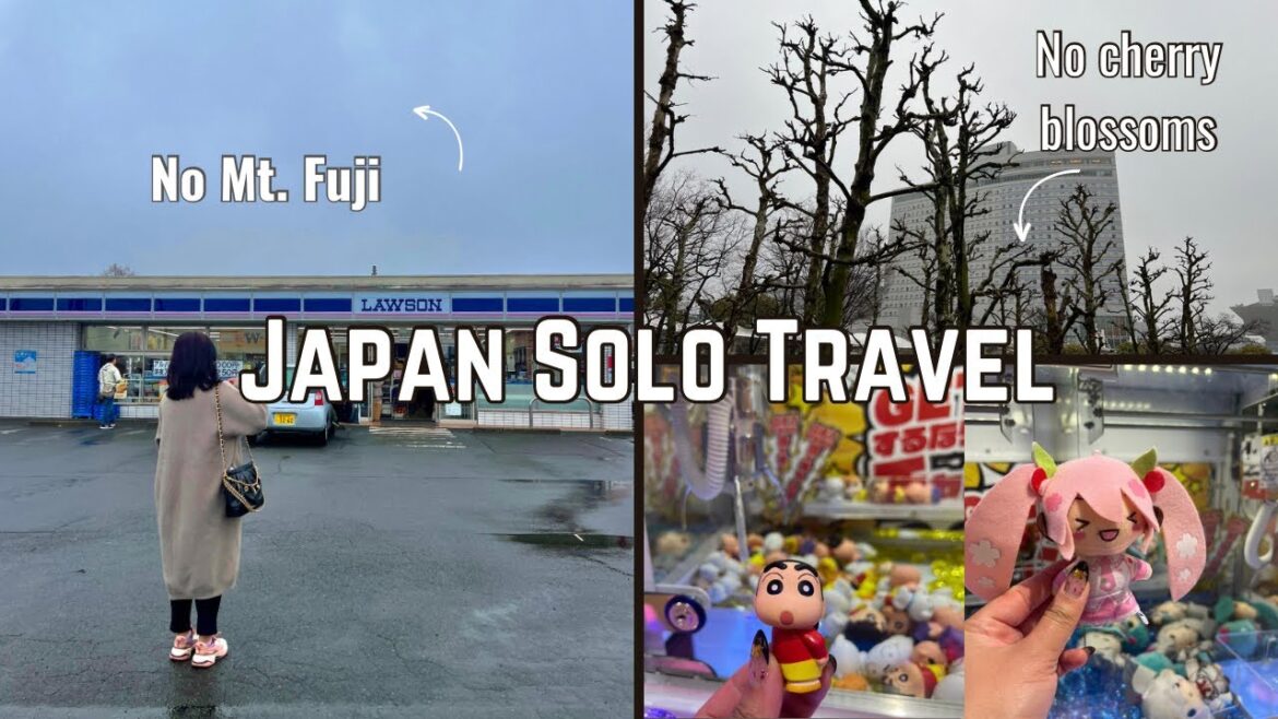 I visited Japan during peak cherry blossom season🌸 #cherryblossomjapan2024