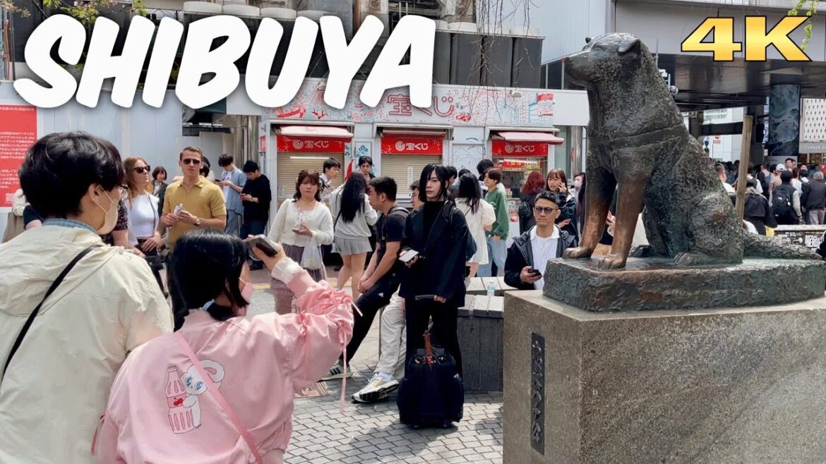 4K JAPAN TRAVEL|SHIBUYA|Tokyo Walk Tour|Entertainment & Shopping 4K JAPAN TRAVEL|SHIBUYA|Tokyo Walk Tour|Entertainment & Shopping