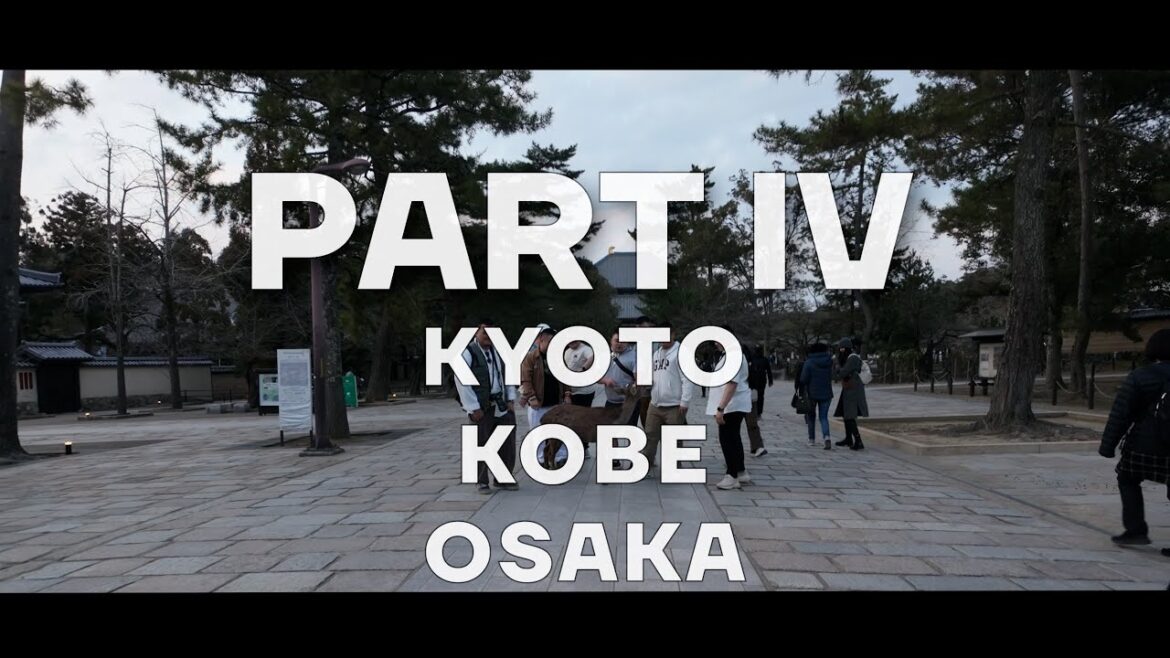 Kansai 2024 Part IV - Kyoto Kobe Osaka