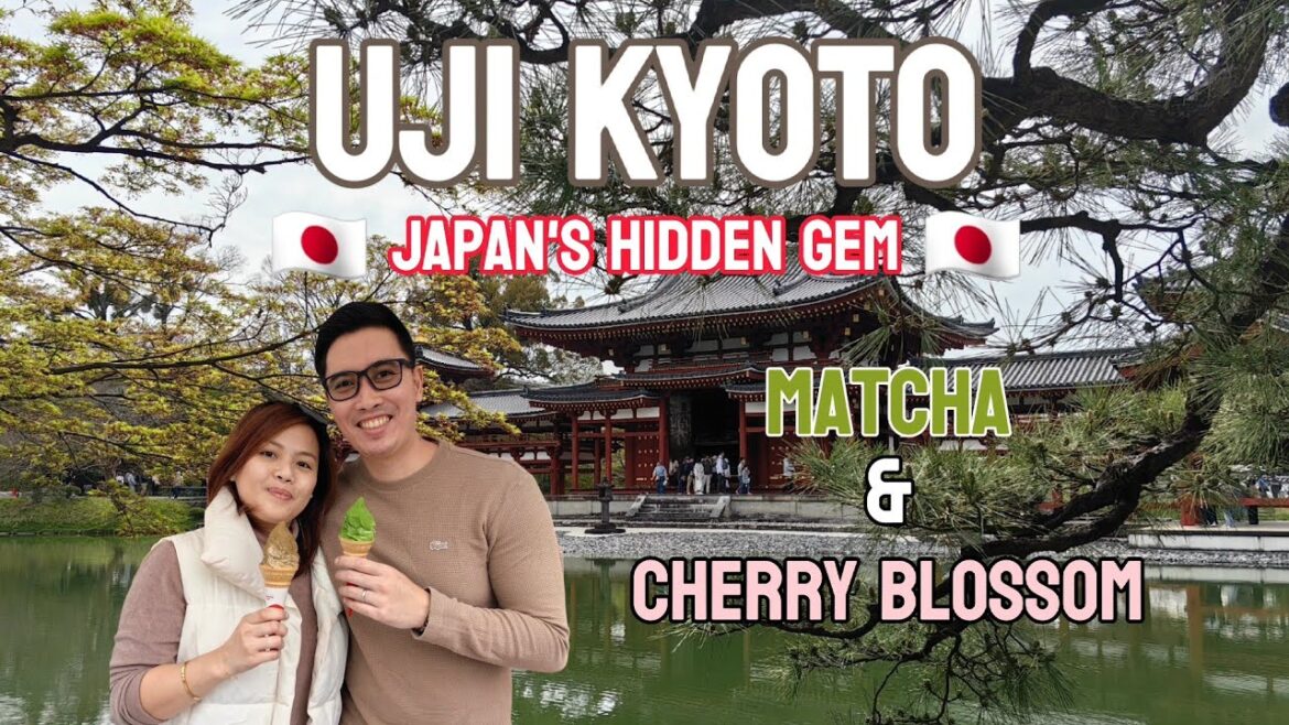 UJI: KYOTO'S HIDDEN GEM | HOME OF MATCHA + CHERRY BLOSSOM + WORLD HERITAGE SITE | JAPAN VLOG 2024