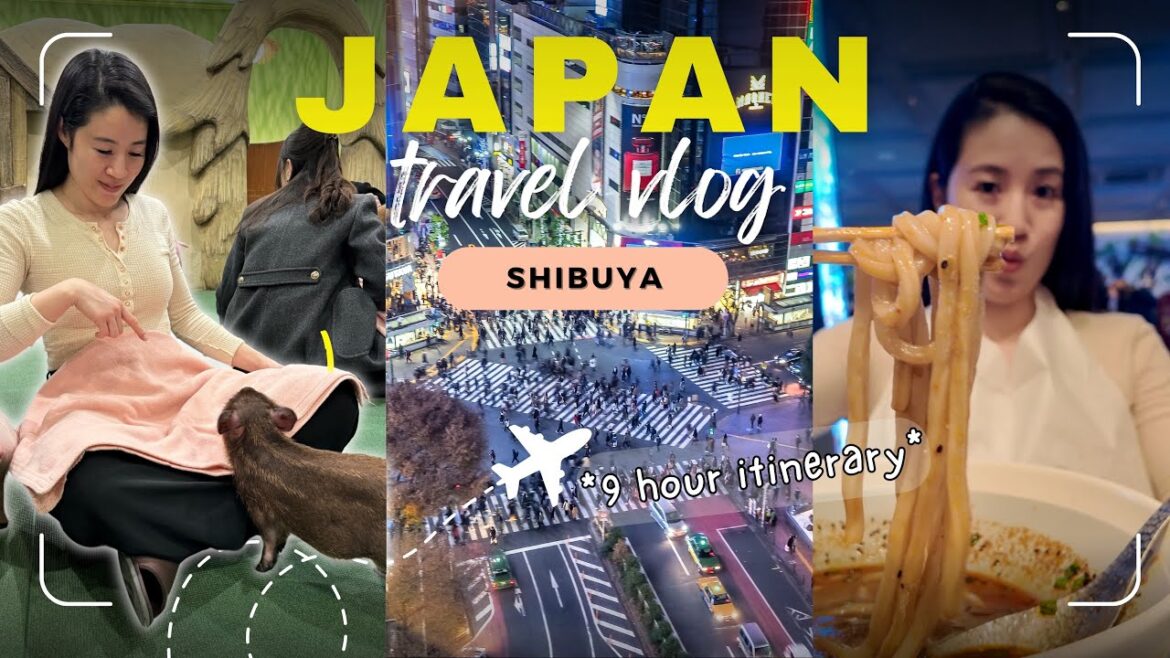 Japan Travel Vlog - Shibuya Tokyo! (9 hour itinerary)