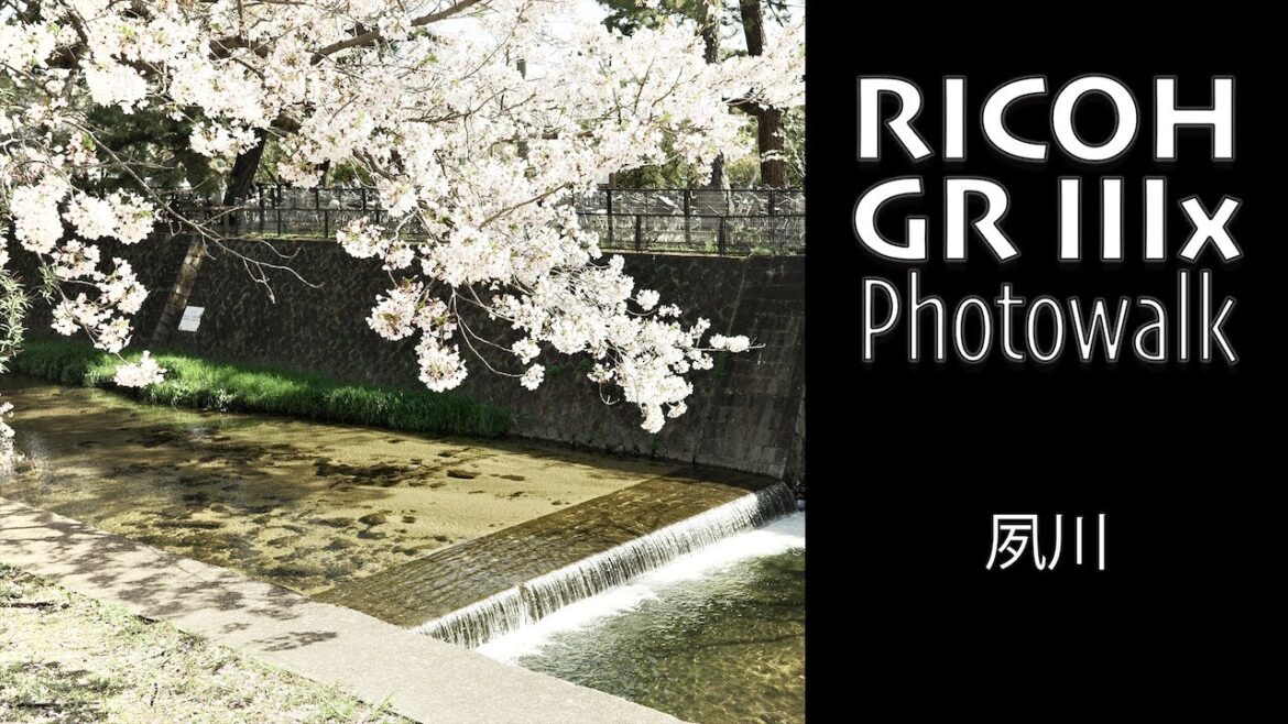 RICOH GR IIIx POV Photowalk - SHUKUGAWA [夙川] in KOBE (KodaKolor)・JAPAN