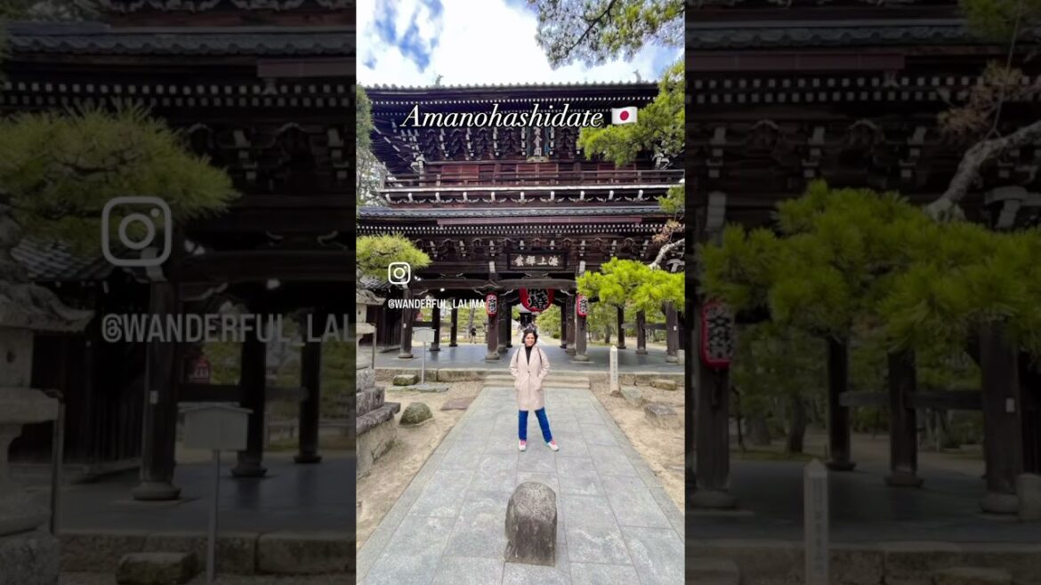 Day Trip to Amanohashidate || Kyoto by the Sea