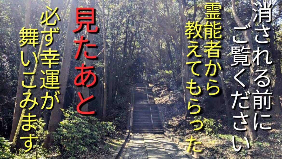 宗像大社　高宮祭場　パワースポット散歩　Takamiya Sanctuary, a power spot tour in Fukuoka, Japan