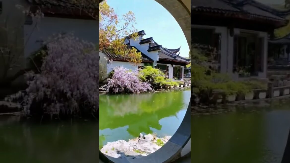 "Exploring Sangai Japan Resort: A Hidden Gem in Nature" #natureunless #ytshort  #travel #short