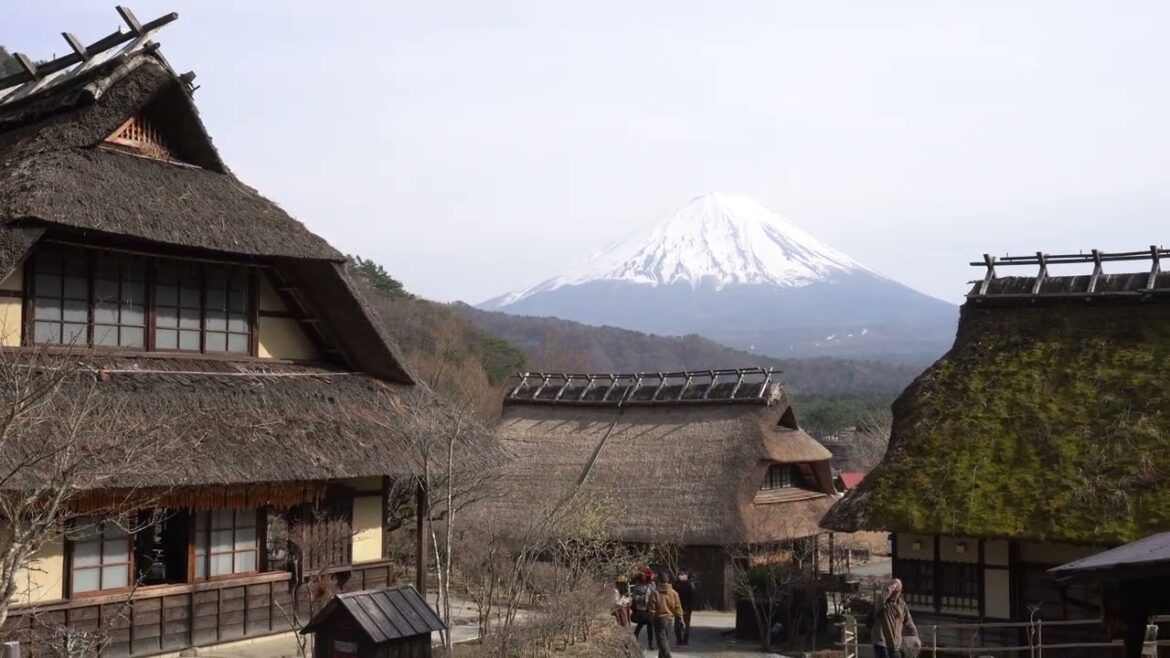 Day out to Mount Fuji   #japan #japanese #japantravel #japanvlog #mtfuji #fuji