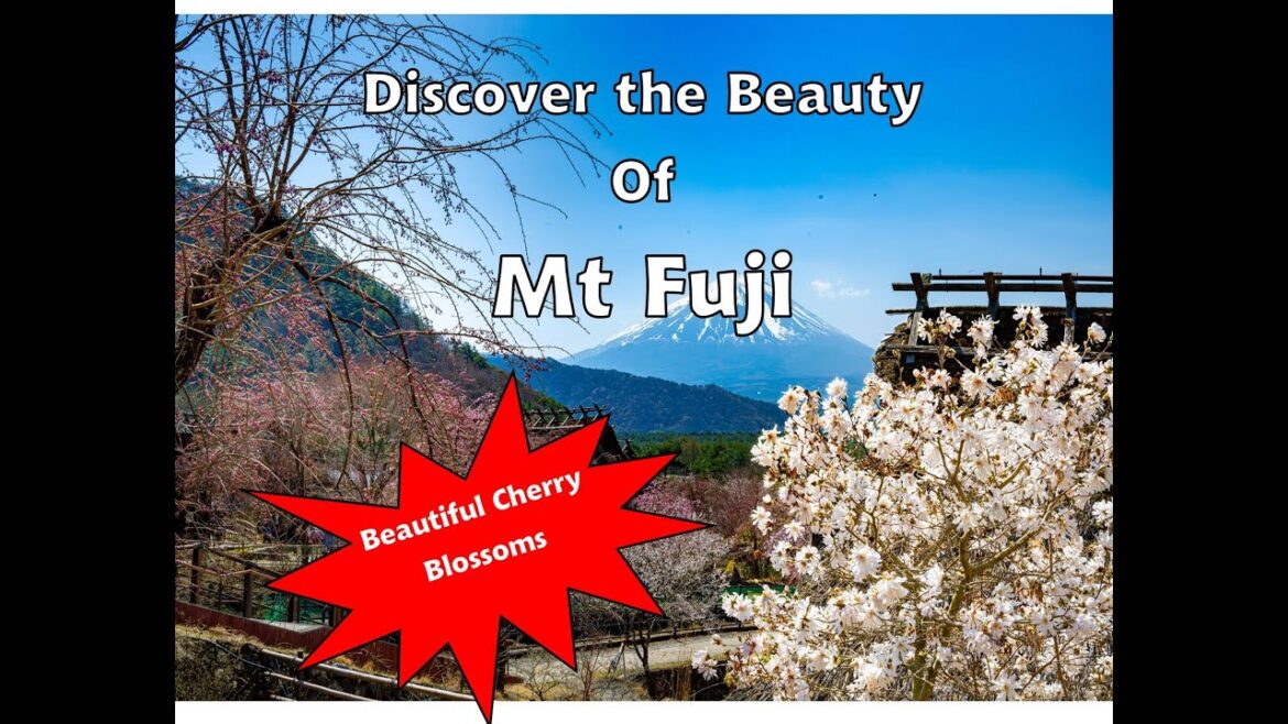Uncover The Stunning Beauty Of Mt. Fuji In Japan