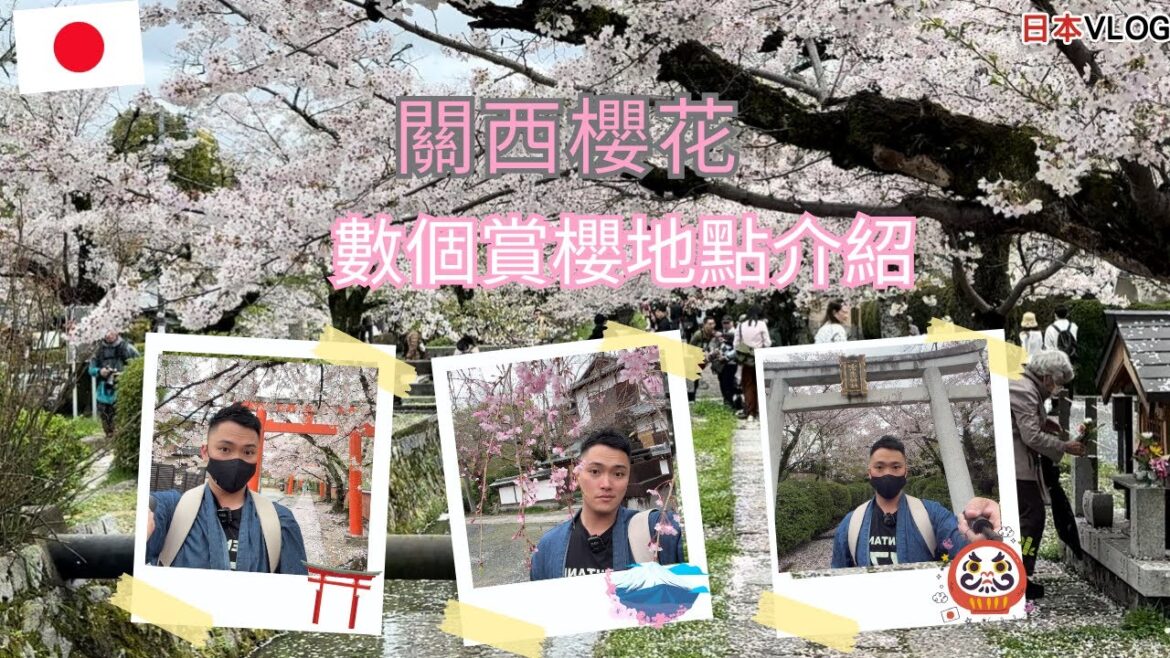 『2024🇯🇵關西之旅vlog EP機場』租車自駕🚗追櫻丨京都丨淀水路河津櫻丨竹中稻荷神社丨真如堂丨宗忠神社丨醍醐寺丨伏見十石舟丨#travel #japan  #kyoto  #sakura 『2024🇯🇵關西之旅vlog EP機場』租車自駕🚗追櫻丨京都丨淀水路河津櫻丨竹中稻荷神社丨真如堂丨宗忠神社丨醍醐寺丨伏見十石舟丨#travel #japan  #kyoto  #sakura