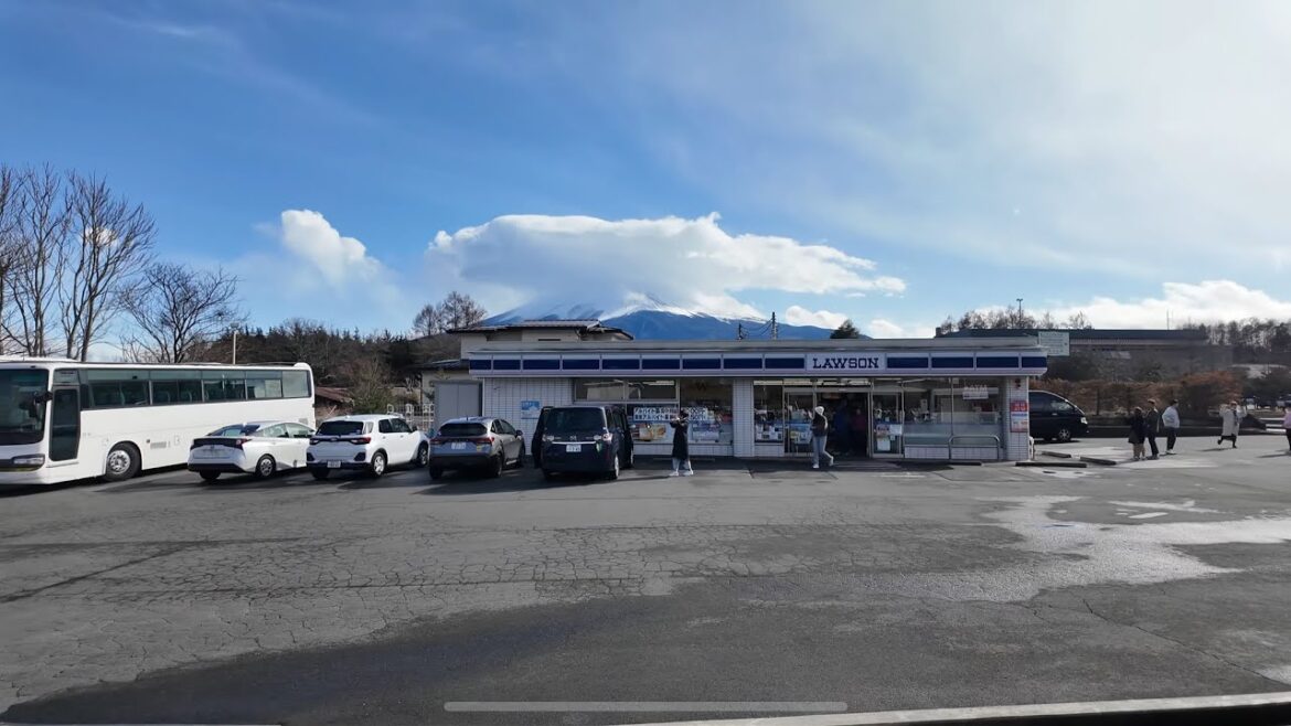 Mt Fuji Tour March 23, 2024