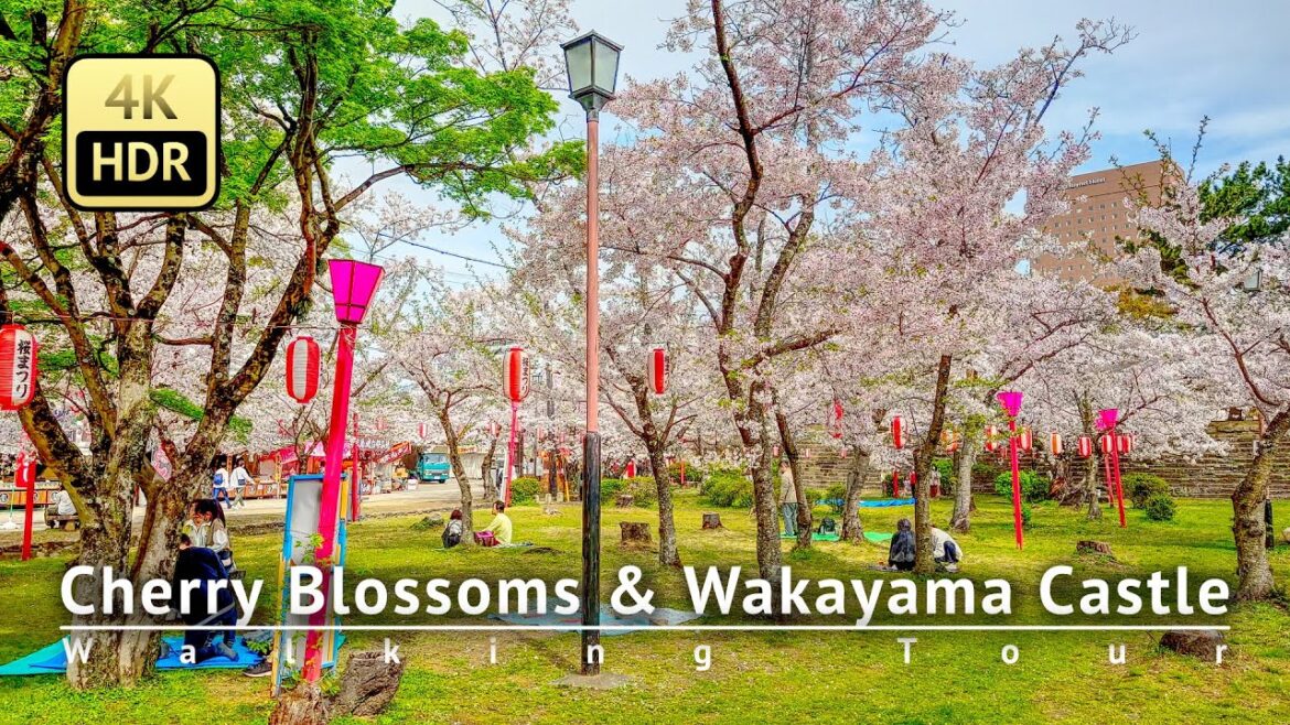 Japan - Cherry Blossoms & Wakayama Castle Walking Tour [4K/HDR/Binaural]