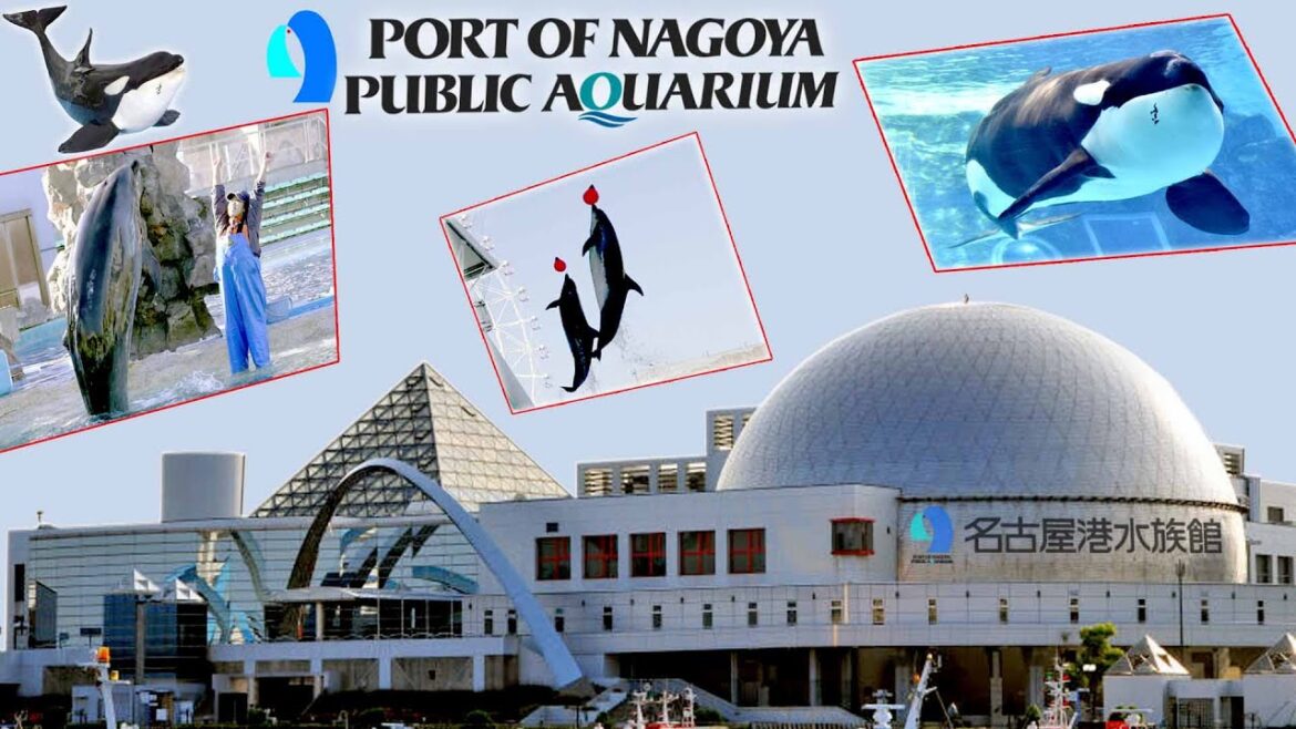 Port of Nagoya Public Aquarium Port of Nagoya Public Aquarium