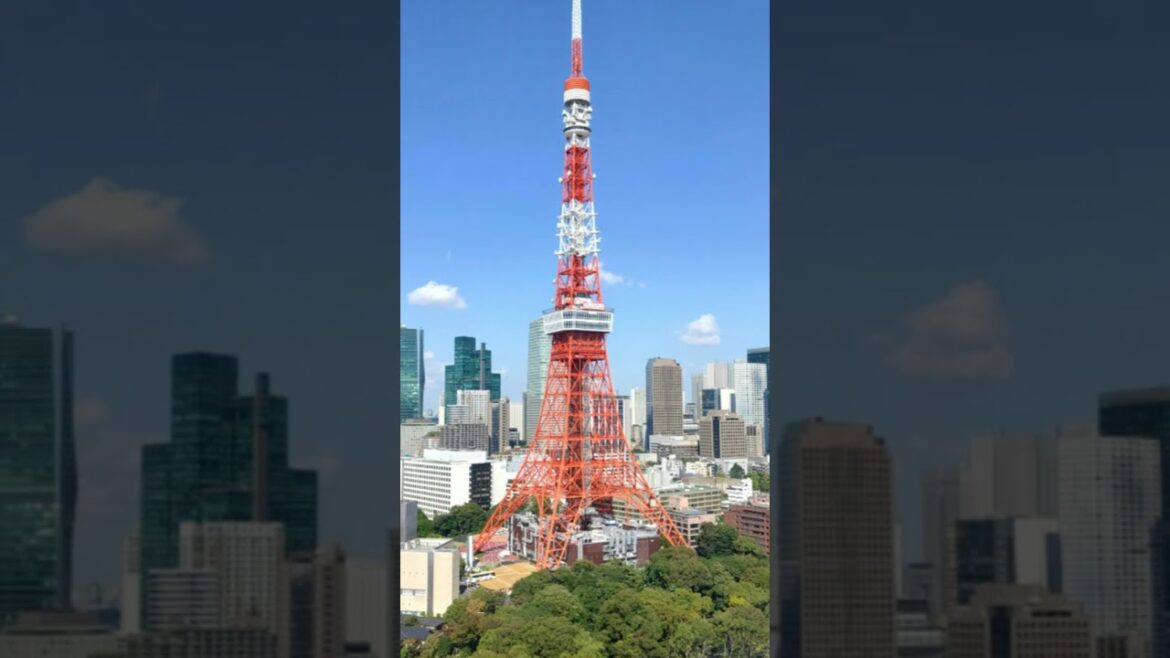 Top 5 places to visit in Tokyo #top #facts #amazing #tokyo #places #entertainment #enjoy #holiday Top 5 places to visit in Tokyo #top #facts #amazing #tokyo #places #entertainment #enjoy #holiday