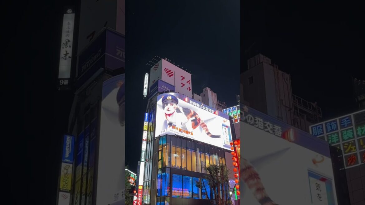 Giant 3D Cat (Shinjuku, Tokyo) #shorts Giant 3D Cat (Shinjuku, Tokyo) #shorts