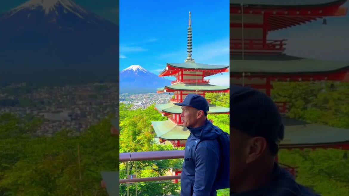 Chureito Pagoda  and the majesty of Mt. Fuji                      #mtfuji #japan #japantravel #fypシ