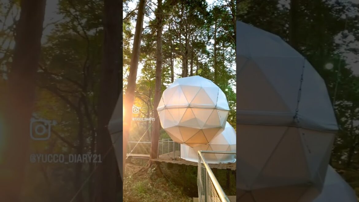 Morning sunlight at Inn the Park Numazu