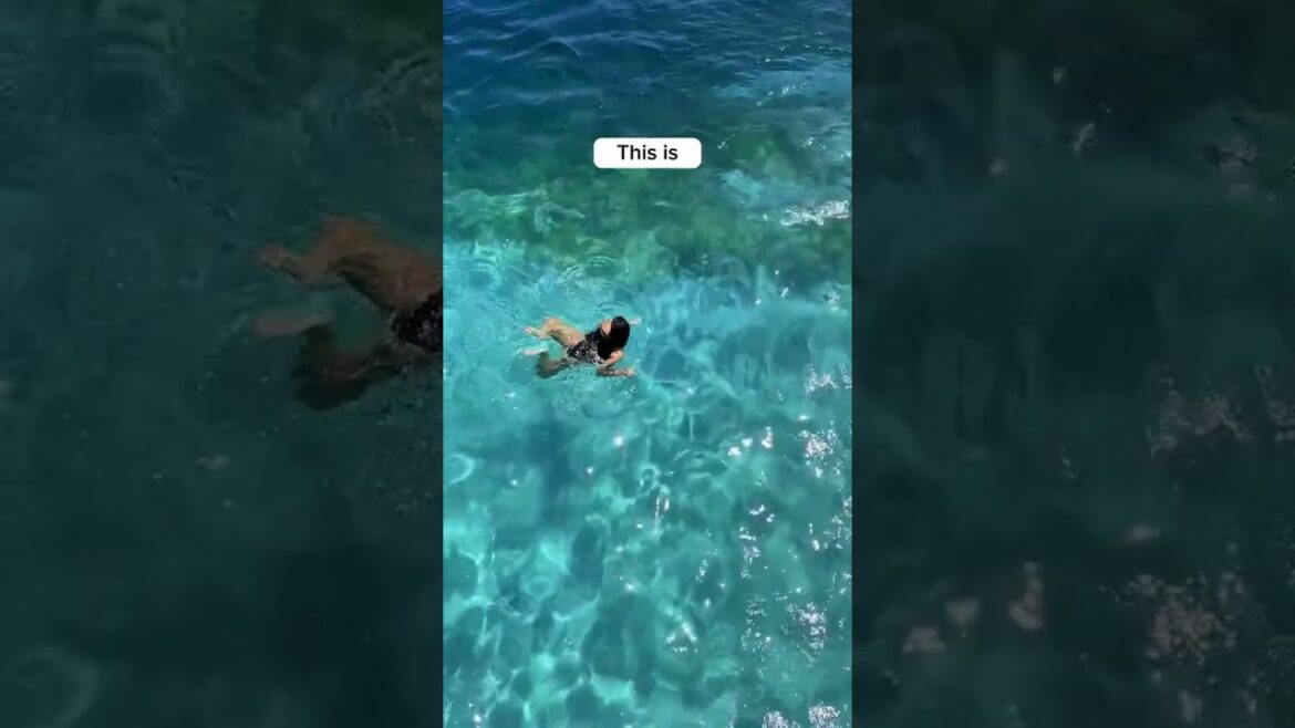 π
ππ₯ππ£’π¨ ππππππ£ πΎπ€π¨π©ππ‘ πππ’  ππ ππ£ππ¬π   ππ§ππ₯ πππ₯π‘π€π§π Have you he#travelingsolo #exploretheunknown π
ππ₯ππ£'π¨ ππππππ£ πΎπ€π¨π©ππ‘ πππ’  ππ ππ£ππ¬π   ππ§ππ₯ πππ₯π‘π€π§π Have you he#travelingsolo #exploretheunknown