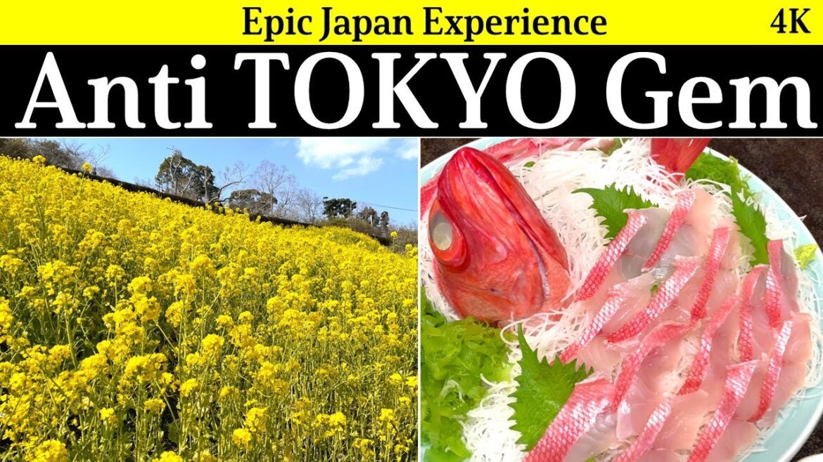 4K Japantravel: Anti TOKYO! The hidden scenic and tasty Chiba pref unveiled 4K Japantravel: Anti TOKYO! The hidden scenic and tasty Chiba pref unveiled