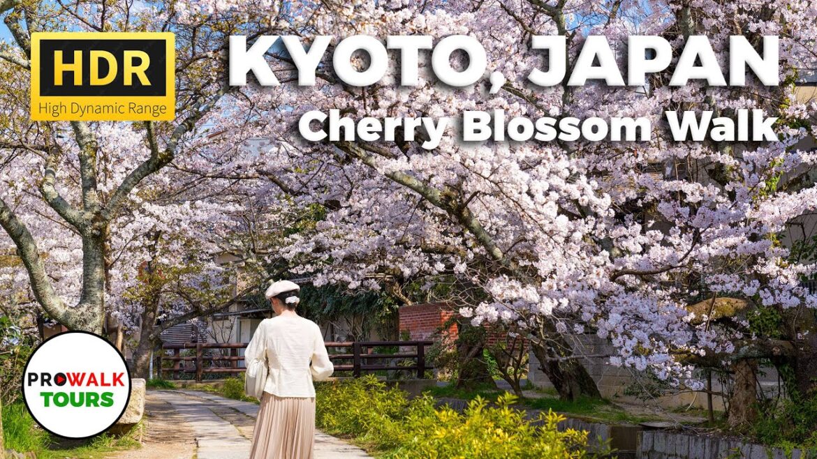 Philosopher’s Path Cherry Blossom Walk – Kyoto, Japan – HDR 4K60fps with Captions Philosopher's Path Cherry Blossom Walk - Kyoto, Japan - HDR 4K60fps with Captions