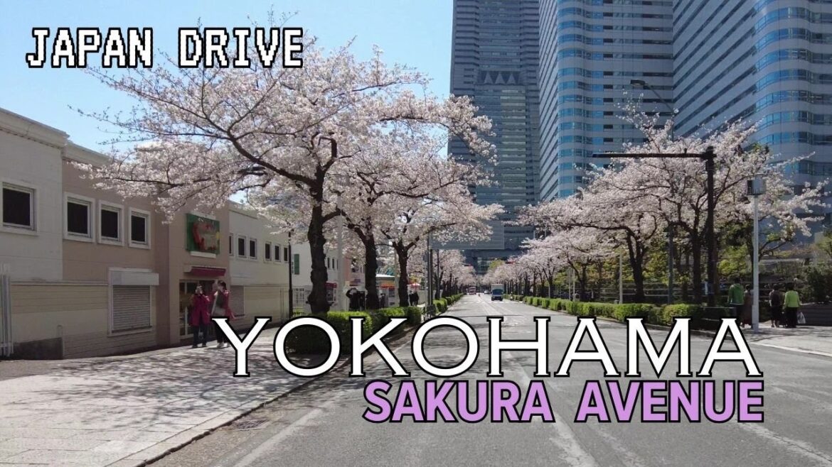 Yokohama around MM21 Sakura Street - Driving tour [4K]