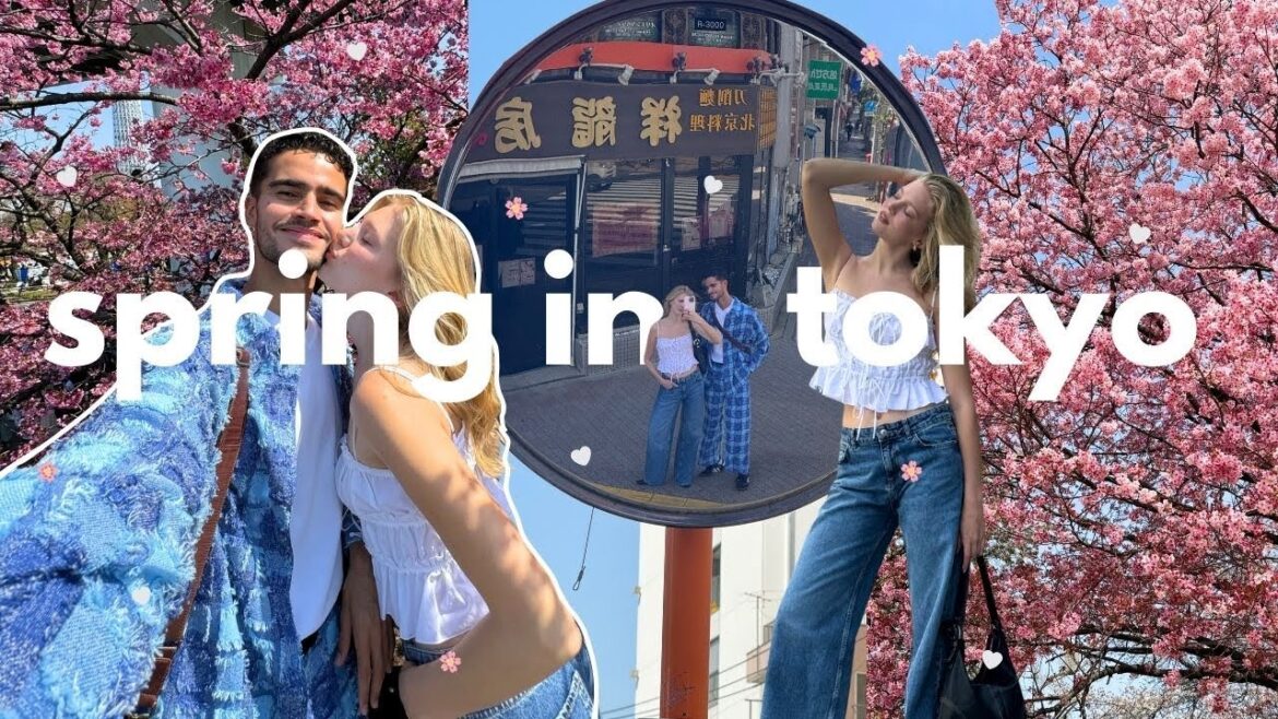 Chasing Cherry Blossoms In Tokyo Japan.. 🌸🤍 Chasing Cherry Blossoms In Tokyo Japan.. 🌸🤍