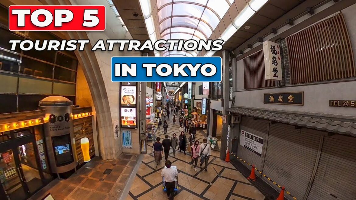 Top 5 Tourist Attractions in Tokyo | Japan Travel