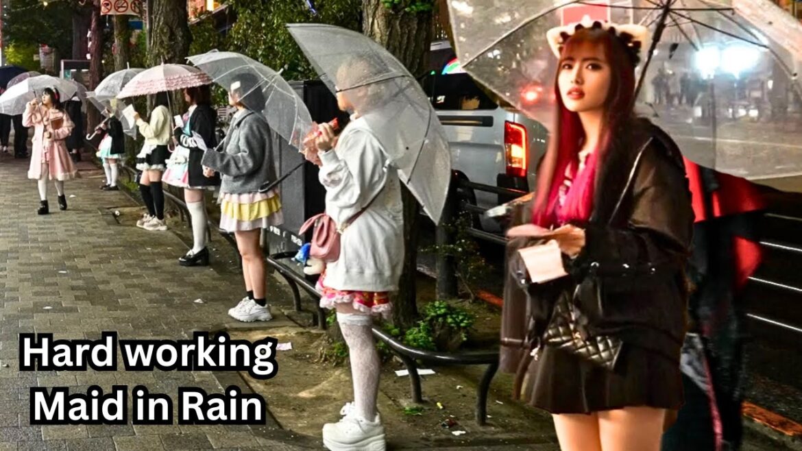 why COUNTLESS TOKYO Maid Girls Work HARD EVEN In HEAVY Rain?