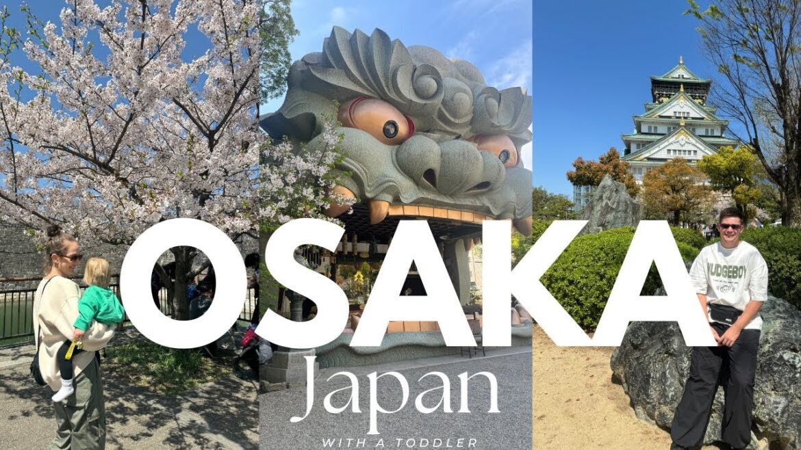 Osaka's cherry blossom wonderland: making lifelong memories with our toddler