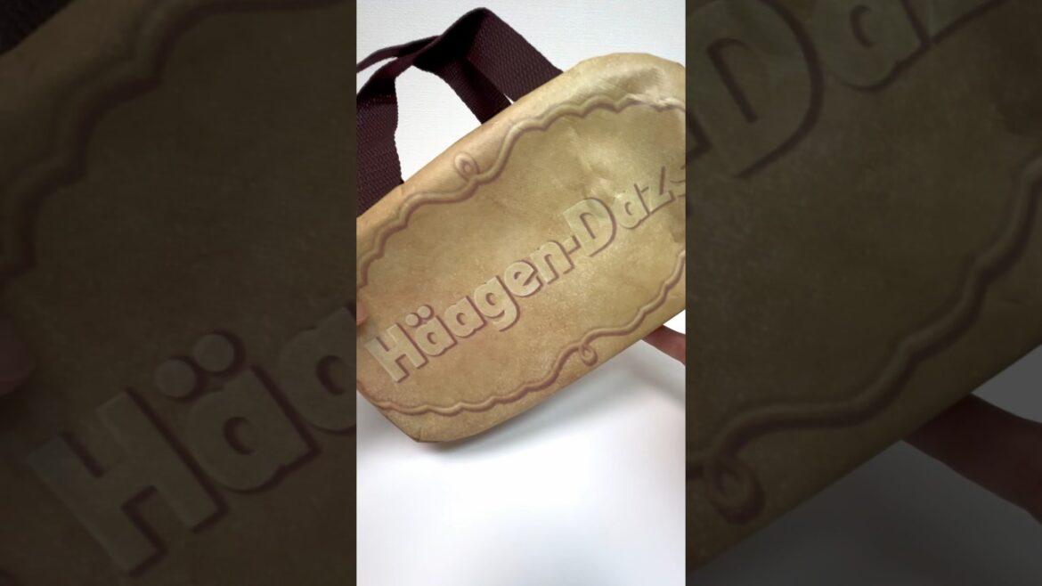 Haagen-Dazs Ice Cream Cooler Bag I got it as free gift! #shorts