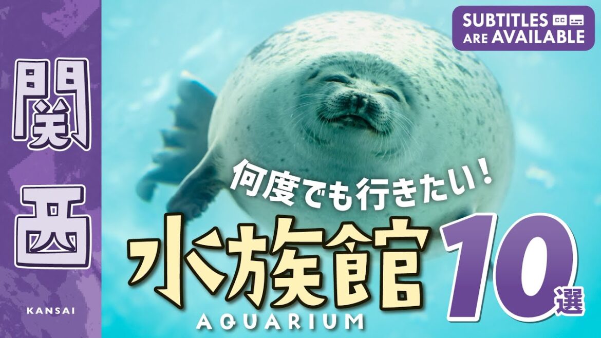 【関西水族館10選】必見!何度でも行きたい水族館!グルメやイチオシ情報も|屋内|観光|デート|大阪|京都|海遊館|アドベンチャーワールド|京都水族館 【関西水族館10選】必見!何度でも行きたい水族館!グルメやイチオシ情報も|屋内|観光|デート|大阪|京都|海遊館|アドベンチャーワールド|京都水族館