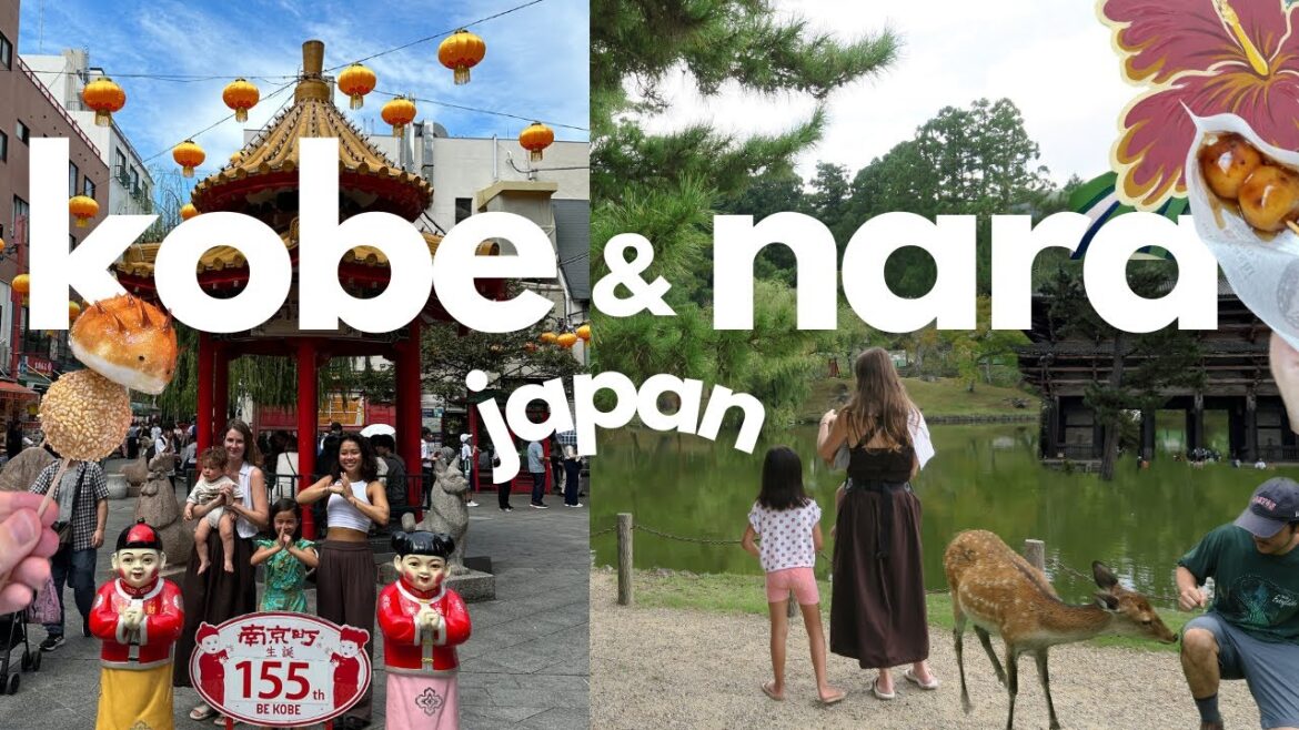 Nara & Kobe vlog 🇯🇵🦌 2 day itinerary, cafes, deer, summer in japan, chinatown, japan with kids