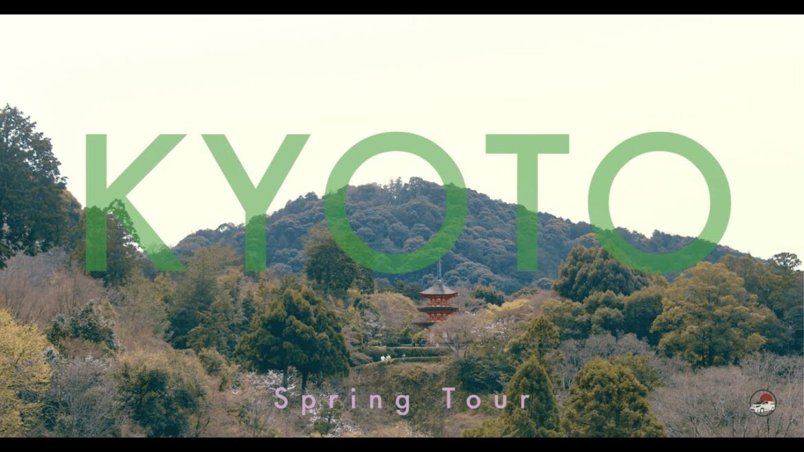Kyoto Spring tour with HireTaxiJapan Kyoto Spring tour with HireTaxiJapan