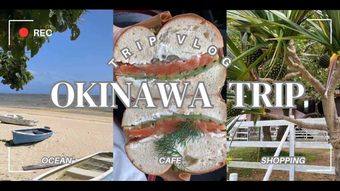 【Okinawa Trip】弾丸/ 沖縄旅行🌺 異国溢れる!?本島中部をメインに旅してきました🏝️ 【Okinawa Trip】弾丸/ 沖縄旅行🌺 異国溢れる!?本島中部をメインに旅してきました🏝️