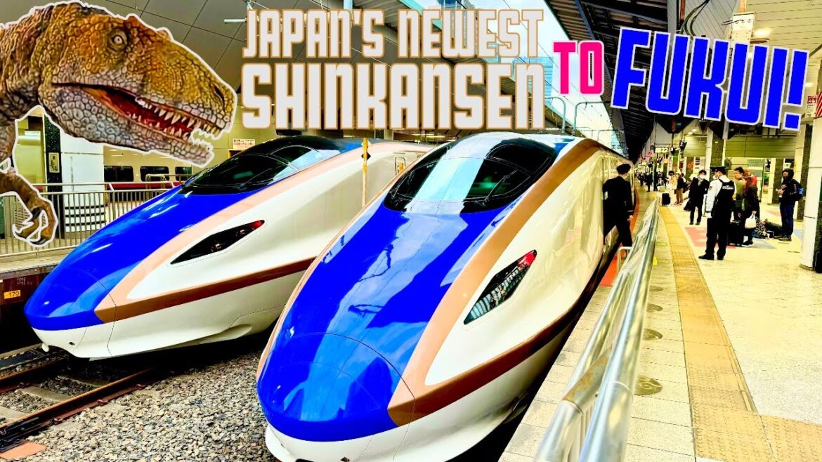 🚄 Epic Journey on Japan's Shinkansen Kagayaki 501 to Explore Fukui's Dinosaur Kingdom! 🦕 #sakuraco