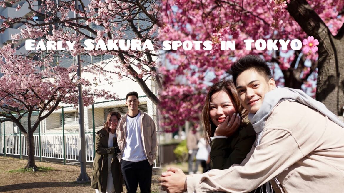 JAPAN TRAVEL GUIDE 2024: Early March Sakura Spot in Tokyo & Exploring Yokohama