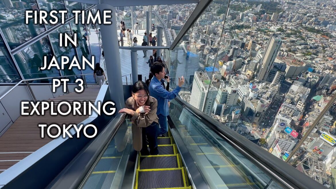 First time in Tokyo Pt 3 | Shibuya, teamLab Planets & Food trip