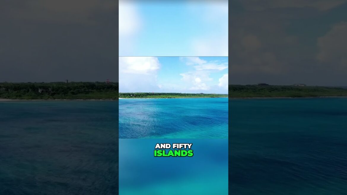 Explore the Tropical Paradise of Okinawa  Beaches, Culture, and History