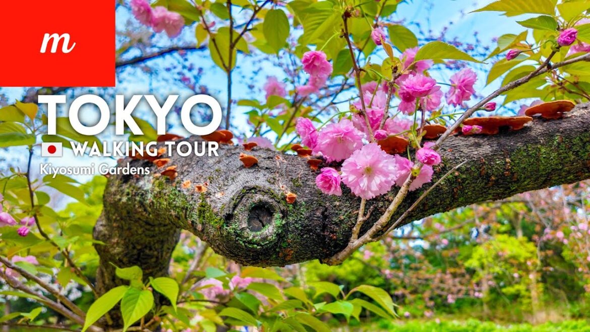 4K Tokyo Walking Tour | Kiyosumi Gardens