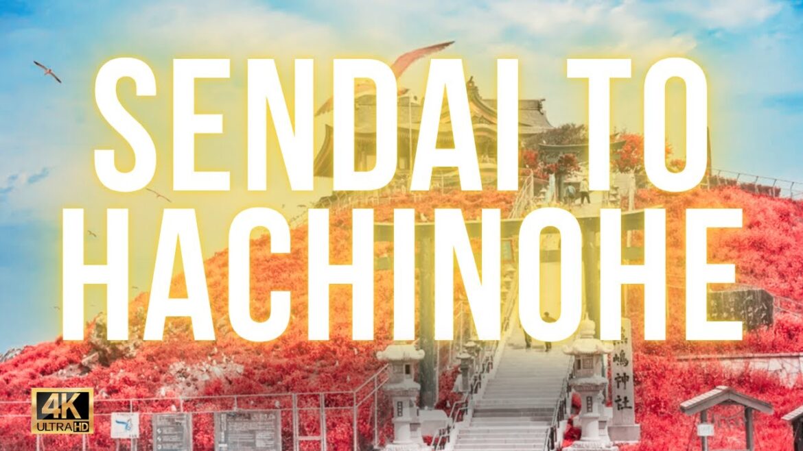 Discovering Japan's Northeast: Sendai to Hachinohe Road Trip  🇯🇵