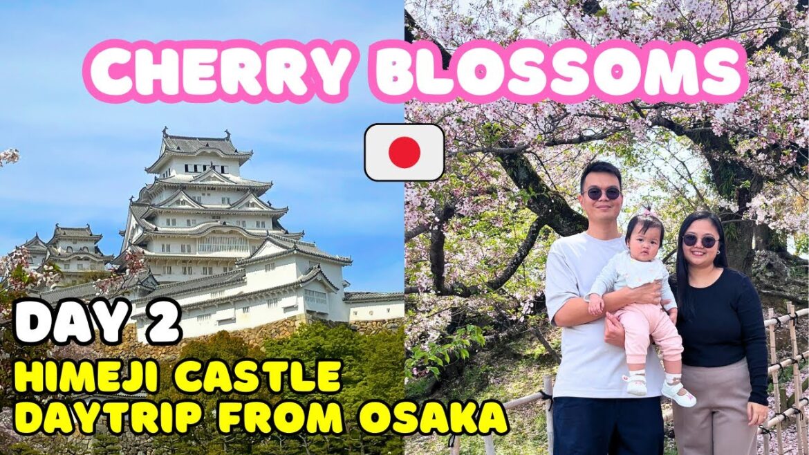 Day 2 Cherry Blossoms at Himeji Castle - a day trip from Osaka, Japan + Grocery  Experience