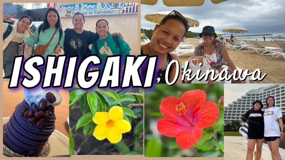 Ishigaki, Okinawa | Nanginhas