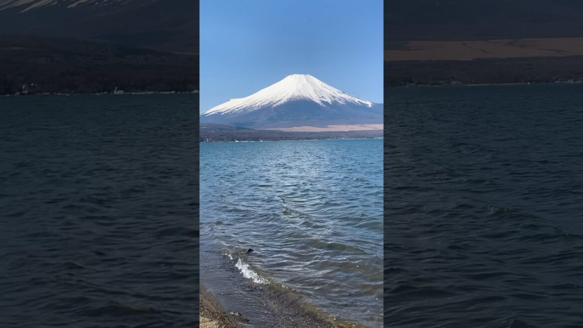 Mount fuji best spot LakeYamanaka 山中湖  #japan #fuji #japan #nature #relaxingmusic#explore #adventure