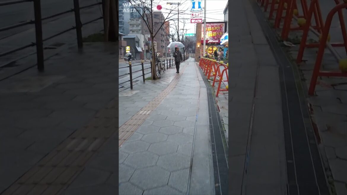 🇯🇵 Experience #Kobe in #Japan with us! #Shorts 🇯🇵 Experience #Kobe in #Japan with us! #Shorts