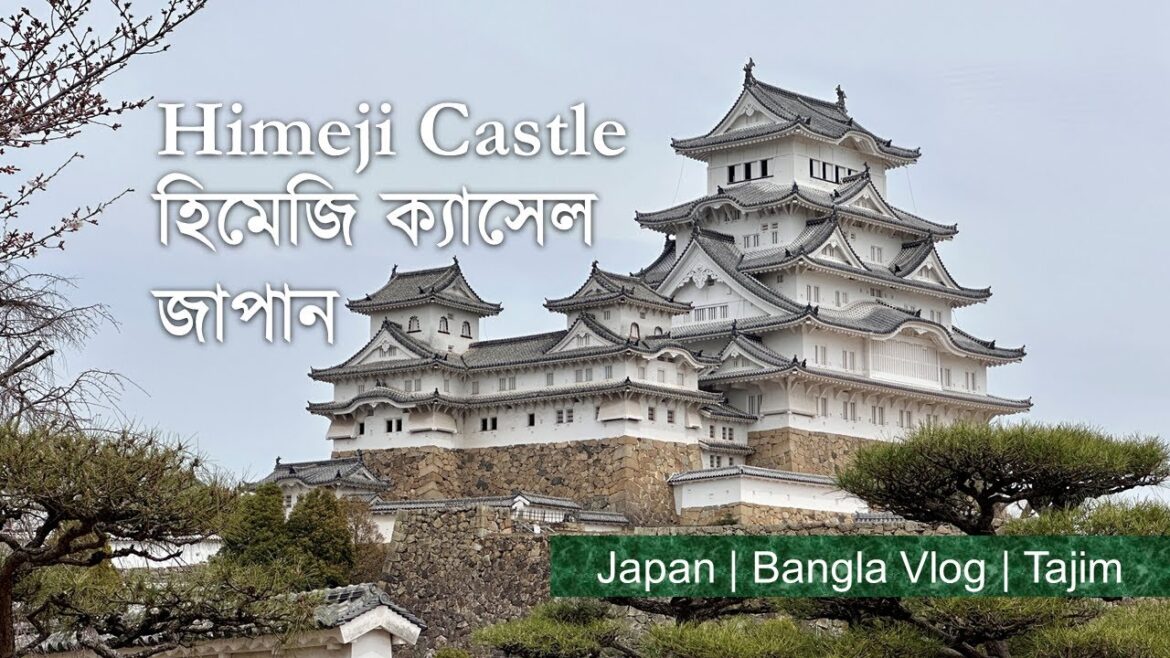Himeji Castle | হিমেজি ক্যাসেল | Kobe, Hyogo, Japan, Bangla Vlog | কোবে, হিয়োগো, জাপান | Tajim Himeji Castle | হিমেজি ক্যাসেল | Kobe, Hyogo, Japan, Bangla Vlog | কোবে, হিয়োগো, জাপান | Tajim