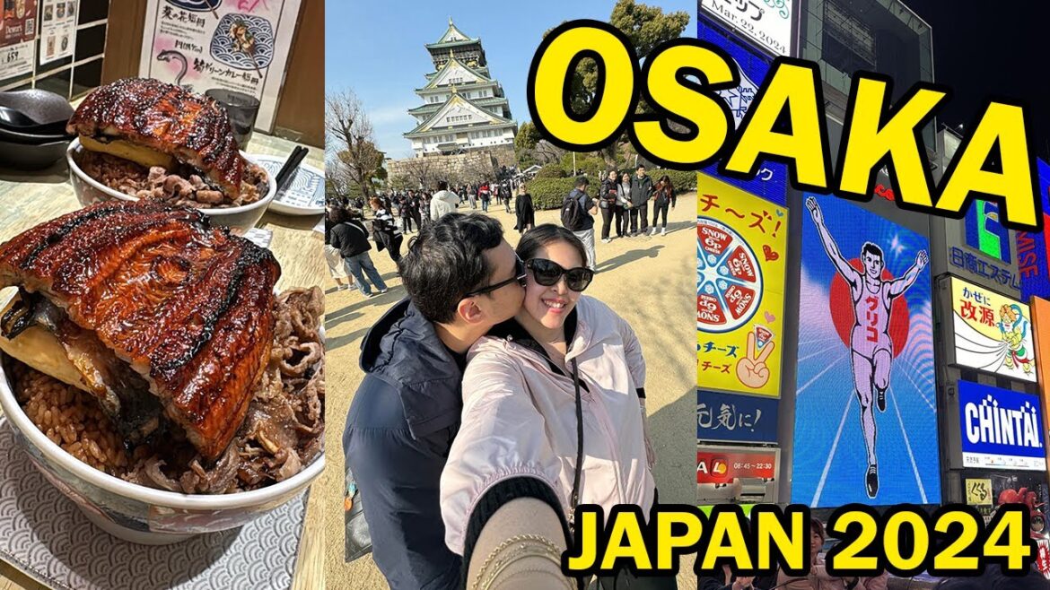 HONEYMOON: Osaka, Japan 2024 | Unagi Kushiyaki Idumo, Osaka Castle, Pokemon Center, Dotonburi