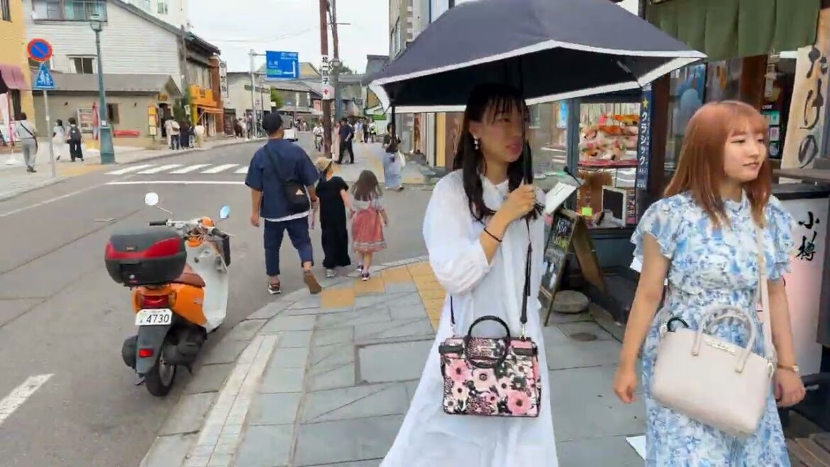 Otaru on Foot: A Virtual Tour of Hokkaido’s Historic Jewel 🇯🇵 Otaru on Foot: A Virtual Tour of Hokkaido's Historic Jewel 🇯🇵